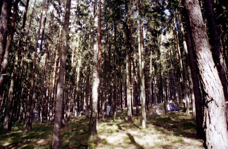 psy-high IV fire | EXPO /|\