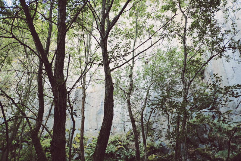 psy-high IV fire | EXPO /|\