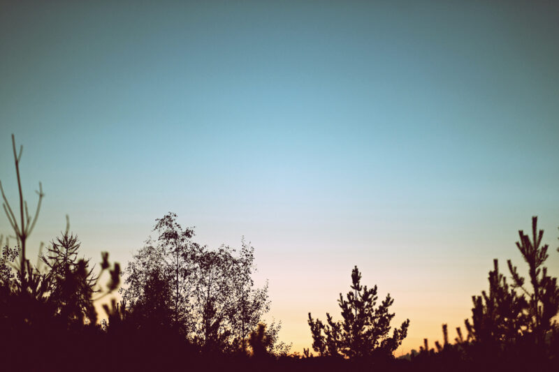 psy-high IV fire | EXPO /|\