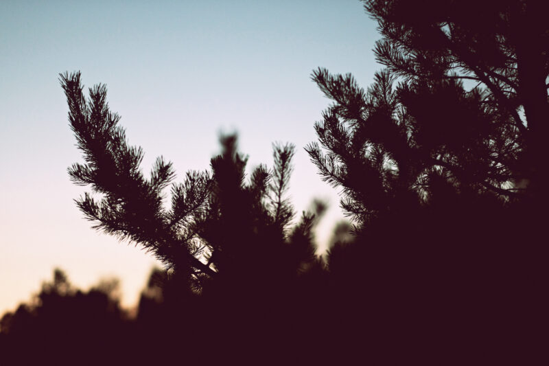 psy-high IV fire | EXPO /|\