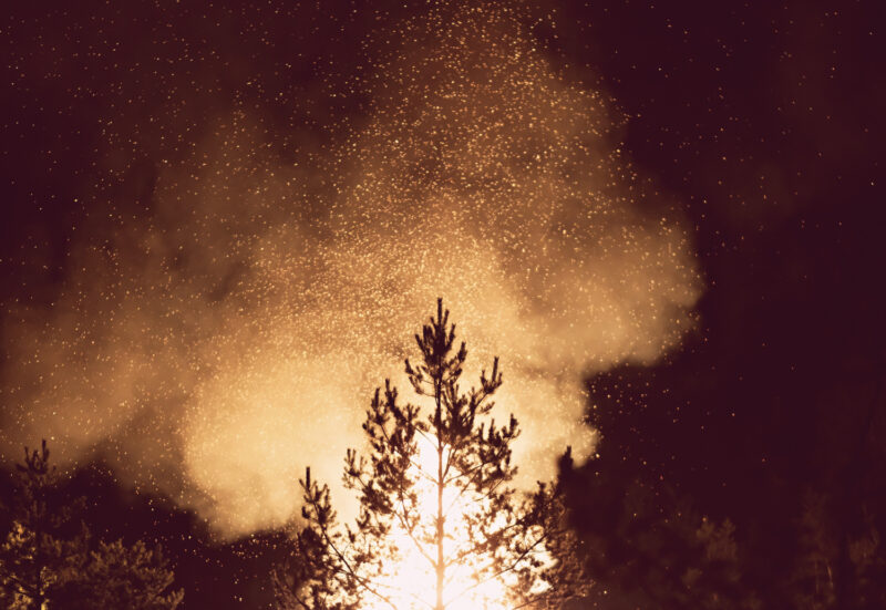 psy-high IV fire | EXPO /|\