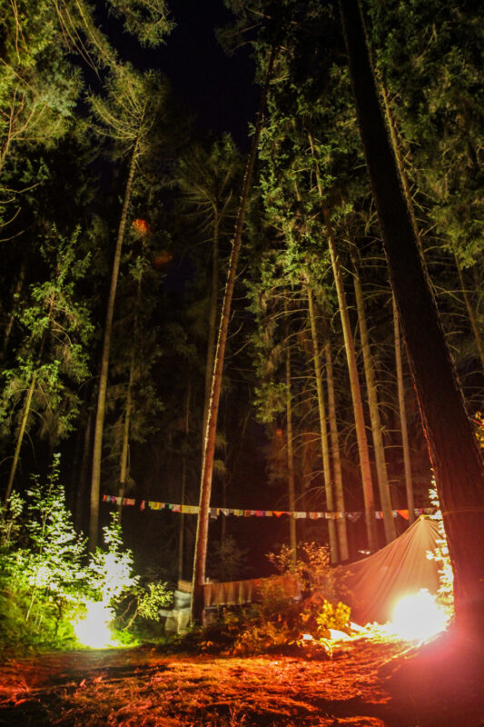 psy-high II earth | EXPO /|\