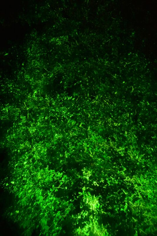 Hájenka XI | EXPO /|\