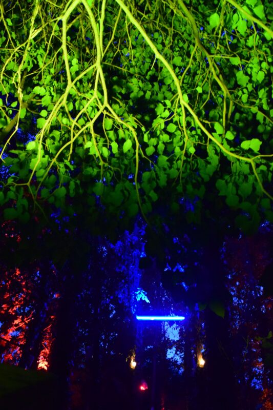 Hájenka XI | EXPO /|\