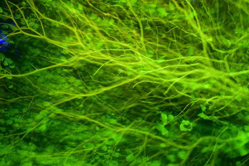 Hájenka XI | EXPO /|\