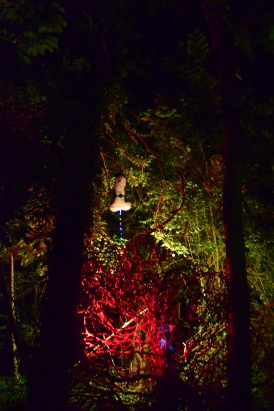 Hájenka XI | EXPO /|\