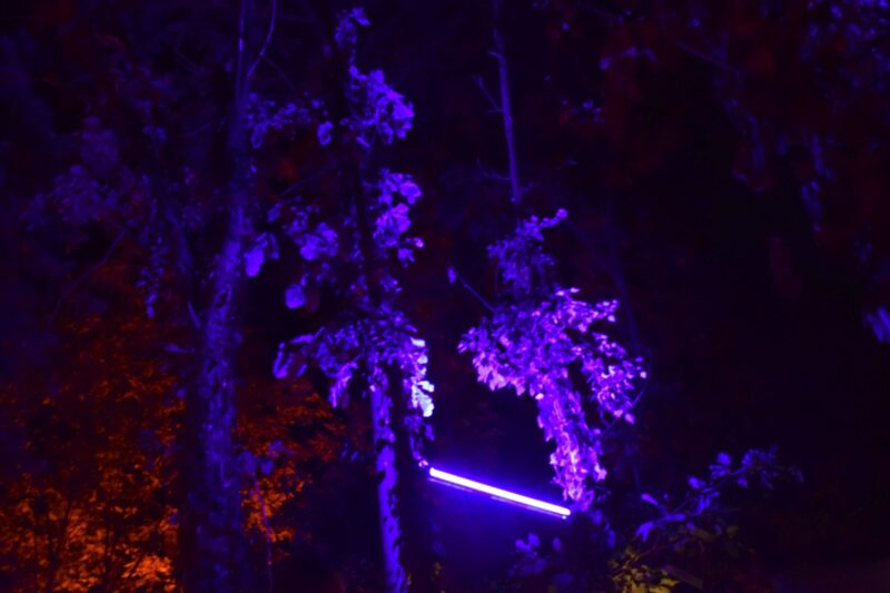 Hájenka XI | EXPO /|\