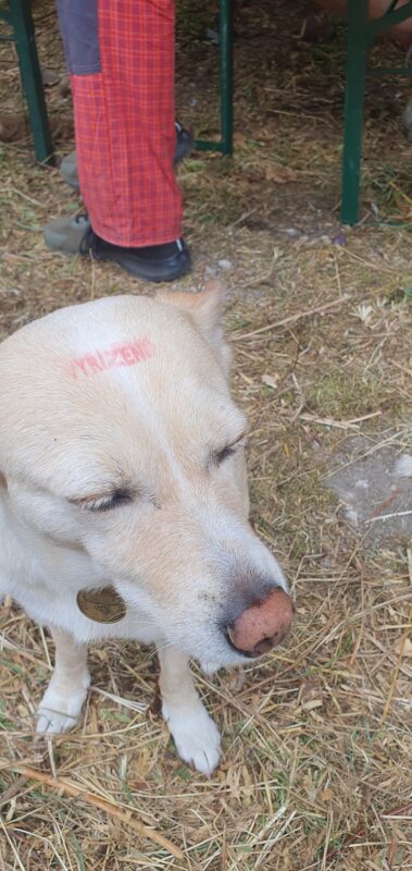 Sztvrzenka | EXPO /|\